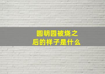 圆明园被烧之后的样子是什么