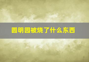 圆明园被烧了什么东西