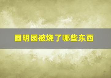 圆明园被烧了哪些东西