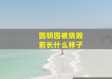 圆明园被烧毁前长什么样子