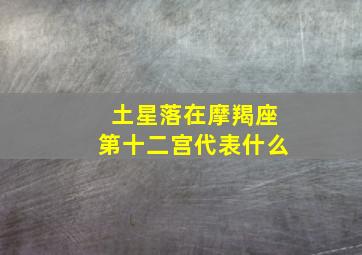 土星落在摩羯座第十二宫代表什么