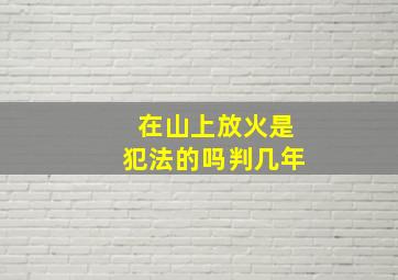 在山上放火是犯法的吗判几年