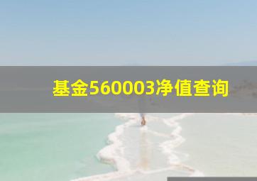 基金560003净值查询