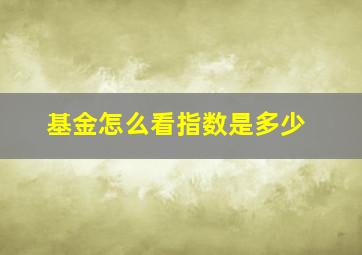 基金怎么看指数是多少