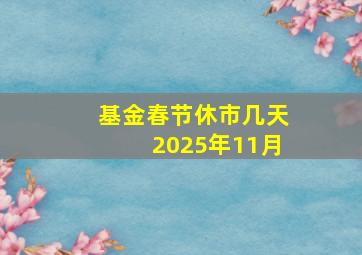 基金春节休市几天2025年11月