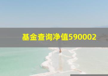 基金查询净值590002