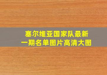 塞尔维亚国家队最新一期名单图片高清大图