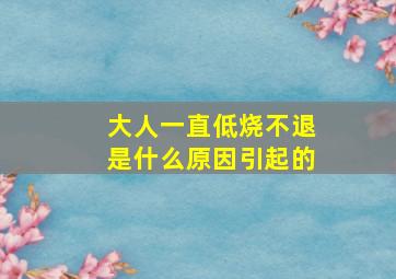 大人一直低烧不退是什么原因引起的