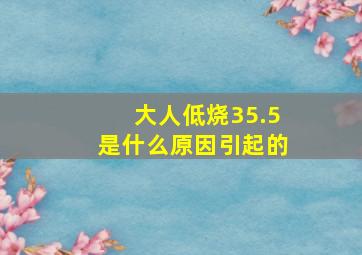 大人低烧35.5是什么原因引起的