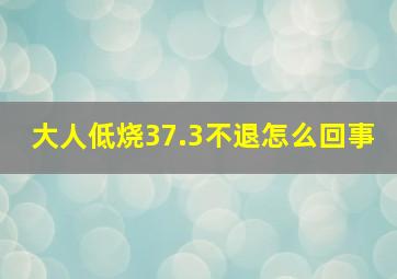 大人低烧37.3不退怎么回事