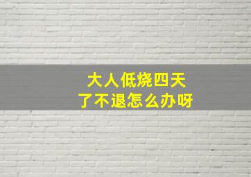 大人低烧四天了不退怎么办呀