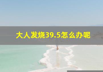 大人发烧39.5怎么办呢