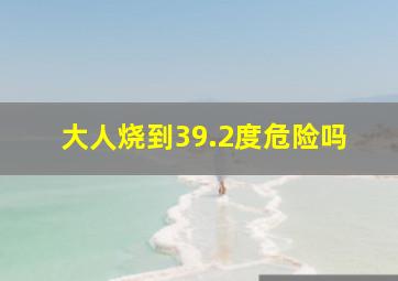 大人烧到39.2度危险吗