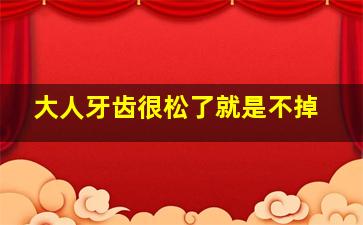 大人牙齿很松了就是不掉