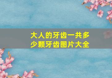 大人的牙齿一共多少颗牙齿图片大全