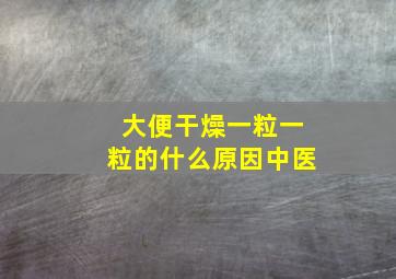 大便干燥一粒一粒的什么原因中医