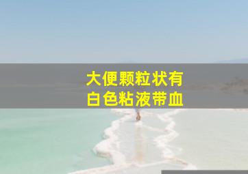 大便颗粒状有白色粘液带血