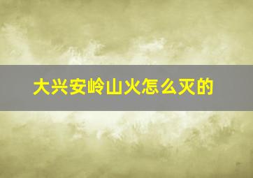 大兴安岭山火怎么灭的