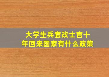 大学生兵套改士官十年回来国家有什么政策