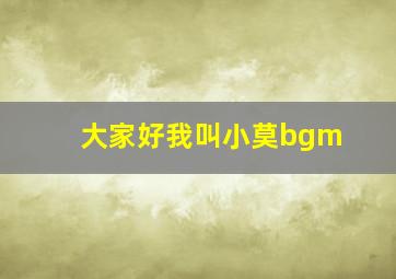 大家好我叫小莫bgm