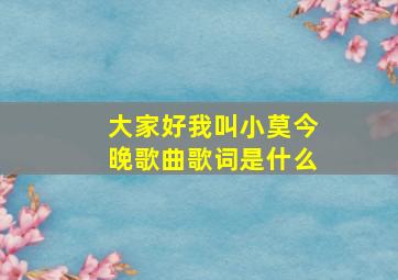 大家好我叫小莫今晚歌曲歌词是什么