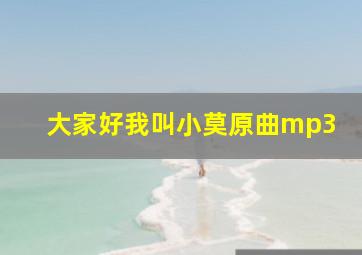 大家好我叫小莫原曲mp3