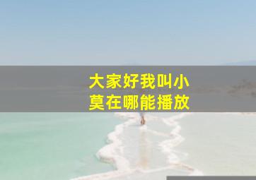 大家好我叫小莫在哪能播放