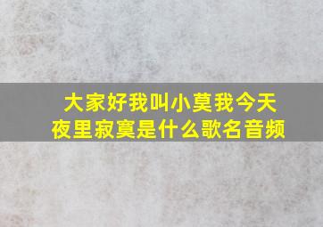 大家好我叫小莫我今天夜里寂寞是什么歌名音频