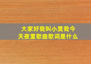 大家好我叫小莫我今天夜里歌曲歌词是什么