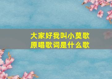 大家好我叫小莫歌原唱歌词是什么歌