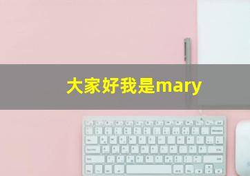 大家好我是mary