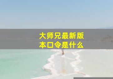 大师兄最新版本口令是什么