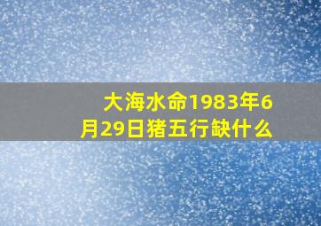 大海水命1983年6月29日猪五行缺什么