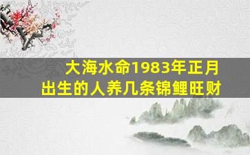 大海水命1983年正月出生的人养几条锦鲤旺财