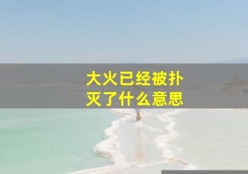 大火已经被扑灭了什么意思