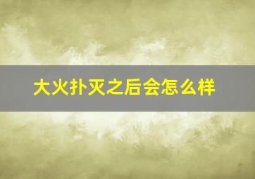 大火扑灭之后会怎么样