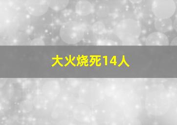 大火烧死14人