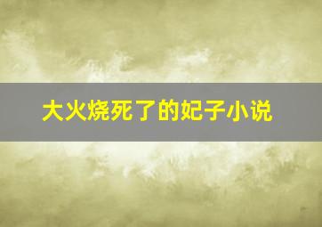 大火烧死了的妃子小说