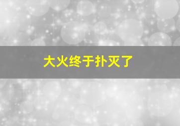 大火终于扑灭了