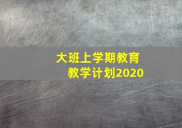 大班上学期教育教学计划2020