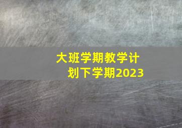 大班学期教学计划下学期2023