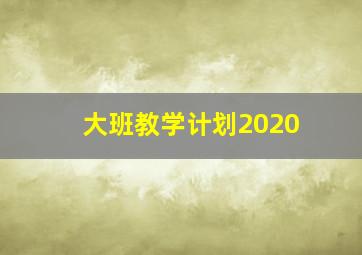 大班教学计划2020