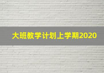 大班教学计划上学期2020