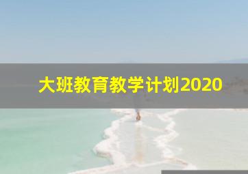 大班教育教学计划2020