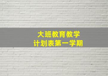 大班教育教学计划表第一学期