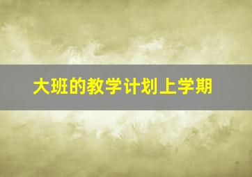 大班的教学计划上学期