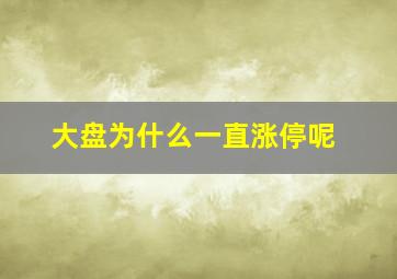 大盘为什么一直涨停呢