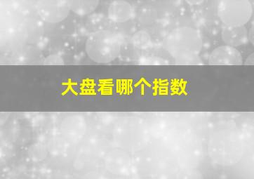 大盘看哪个指数