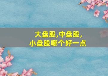 大盘股,中盘股,小盘股哪个好一点