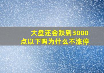 大盘还会跌到3000点以下吗为什么不涨停